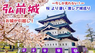 【また旅🐾】弘前城 桜 より凄い激レア！今しか見れない歴史に残る城巡り