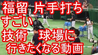 福留孝介の片手トスがものすごい安定感、ミート 野球場へ行こうをBGMに