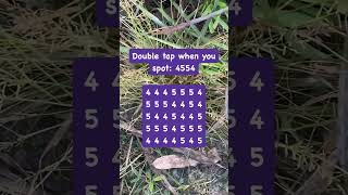 Observation Visual Test: 5 Seconds For You To Spot 4554. Try Your Skills!  #search #puzzle #shorts