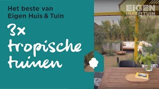 3x tropische tuin | Het beste van Eigen Huis \u0026 Tuin