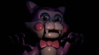 Cindy the Cat