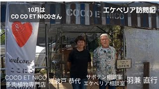 サボテン相談室カジュアル🍀エケベリア訪問記🍀４回目✨COCO ET NICOさん✨1章✨@エケベリア相談室羽兼直行 #多肉植物 #多肉初心者 #多肉好きと繋がりたい #サボテン