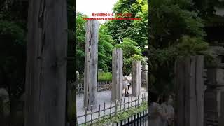 回向柱、70年の歴史 70years history of Zenkoji temple ceremony #旅の道草 #旅行 #観光 #shorts #善光寺#御開帳