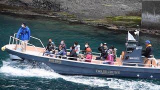 「青の洞窟」クルーズが無料　町のおごりに応募殺到　北海道・福島町