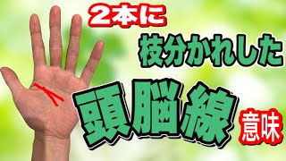 頭脳線が枝分かれしてる　かなりすごいこと　いろいろな違いを解説します