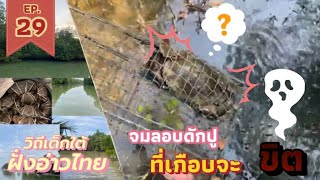 จมลอบ“ดักปู”ในร่องริมคลองใหญ่ (เดินไกลทำเอาหอบตั้งแต่ยังไม่เริ่ม!!!) | EP.29