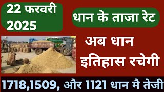 धान के भाव, 22 फरबरी 2025 || dhan ke bhav | 1121 dhan ke bhav | basmati dhan mandi bhav