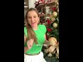 como fazer laço para sua árvore de natal super prático e lindo