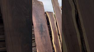 Beautiful Walnut Slabs!