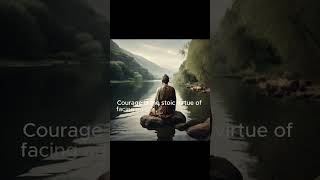 Courage: The Stoic Virtue of Facing Adversity #motivation #philosophyquotes #quotes