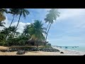 Praia de Xaréu  em Maragogi 🌴 Alagoas 🌴