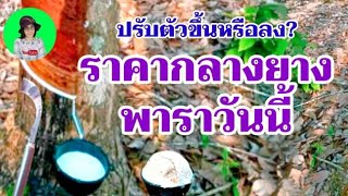 ราคายางพาราประจำวันที่5 สิงหาคม2564