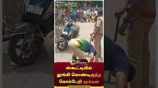 ஸ்கூட்டியில் தூங்கி கொண்டிருந்த கொம்பேறி மூக்கன் | #shorts | #madurai | #snake