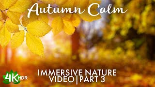 Stunning Fall Sceneries To Relax Deeply & Heal Yourself - 4K HDR Autumn Calm Visualization # 3