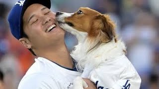 大谷翔平がＳＮＳに愛犬デコピンを投稿　ファン歓喜「今度は食いちぎらずに優しく甘噛み」DCU