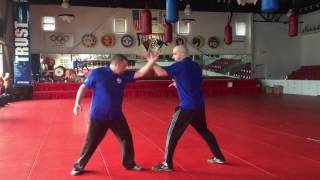 Gao Style Bagua Post Heaven Palm Demo and Application