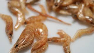 Dried shrimp | Wikipedia audio article