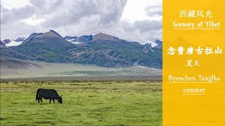 【西藏风光】念青唐古拉山.夏天【 Scenery of Tibet 】Nyenchen Tanglha.summer