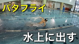 バタフライ 腕を水上に出せるかどうかは〇〇に依存する【 水泳 】【 競泳 】