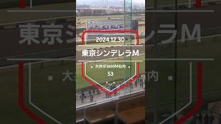 【東京シンデレラマイル 2024】上位5頭予想！恒例の年末、大井3日連続重賞の第2弾！東京シンデレラマイル！