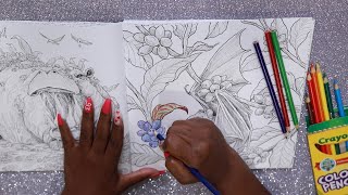 Color Pencils ASMR Coloring