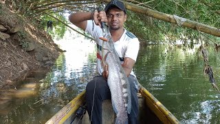 ചേറുമീനും വാഹയ്ക്കും ഒരു അടിപൊളി ലൂർ#fishing#snakeheadfishing#zmanfishing