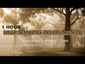 1 HOUR DEEP SOAKING INSTRUMENTAL WORSHIP - (THEOPHILUS SUNDAY, LAWRENCE OYOR, APOSTLE MICHAEL