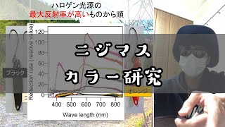 「こりゃ凄い！」KING研究道４　釣れるカラー研究【エリアトラウト】