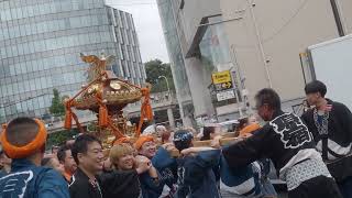 青山熊野神社　例大祭　連合神輿渡御　2024/09/29  d5