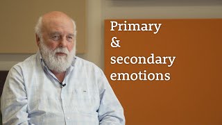 What is the difference between primary and secondary emotions?