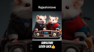 Little cute mouse [小綠貓Ⅰ：拒絕霸凌] #cat Finally Revealed #cat#cute#yt#like#shorts#videos#aicat#ai#mouse