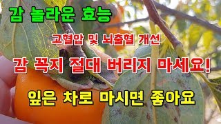 감 (열매,잎,꼭지)에 숨겨진 놀라운 효능