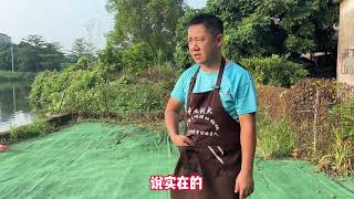 训练狗原地等待主人定难吗？训犬师保姆式教学，现场试验成功