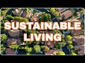 What is Sustainable development & how to live sustainably ?