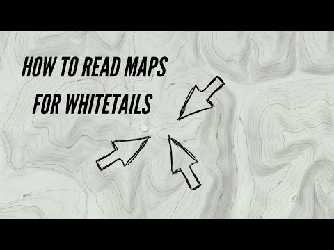 How to Identify Key Terrain Features for Whitetails on a Topographic Map