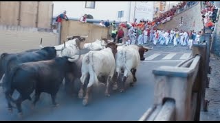 狂牛追! 西班牙奔牛節 遊客慶幸還活著【大千世界】鬥牛｜潘普洛納｜動物保護｜Pamplona