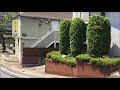 志村坂上駅前商店街の風景。パラシオンytから志村坂上駅までの道順。