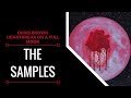 Samples From: Chris Brown - Heartbreak on a Full Moon | XSamples