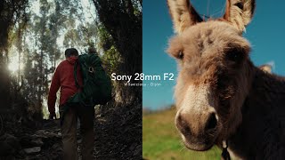 Vlog walking 30km with the Sony 28mm F2! This lens is incredible 🤯