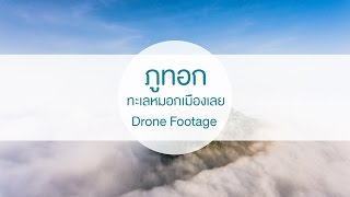 ภูทอก | ทะเลหมอกเมืองเลย | Drone Footage | Phantom4