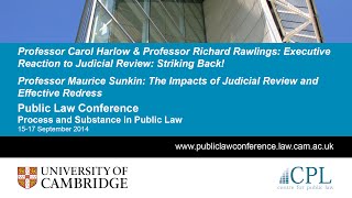 Harlow & Rawlings / Sunkin: 'Executive Reaction to and Impacts of Judicial Review'