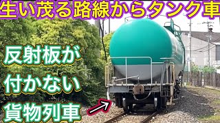 路線図に記載がない駅を見に行ったら私鉄の車両が自家用車に紛れてた？！2代目機関区に国鉄型が留置