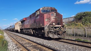 Dirty Gevo in Good Light! CP 529 - 8960W at Lisgar - September 26, 2024