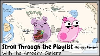 Stroll Through the Playlist (a Biology Review)