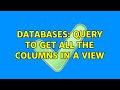 Databases: Query to get all the columns in a view (2 Solutions!!)