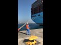 madrid maersk algeciras 2017