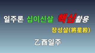 [사주명리 공부방] 사주명리 십이신살 핵심 활용 (장성살)