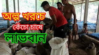 অল্প খরচে কেঁচো/ভার্মি কম্পোস্ট চাষে লাভবান |কেঁচো চাষ পদ্ধতি |ভার্মি কম্পোস্ট সার তৈরি|Varmicompost