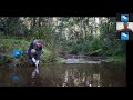 expert connections platypus monitoring in melbourne