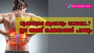 വൃക്കയുടെ ആരോഗ്യം മോശമാകുന്നതിന്‍റെ അഞ്ച് ലക്ഷണങ്ങള്‍ |kidney failure symptoms | Ethnic Health Court